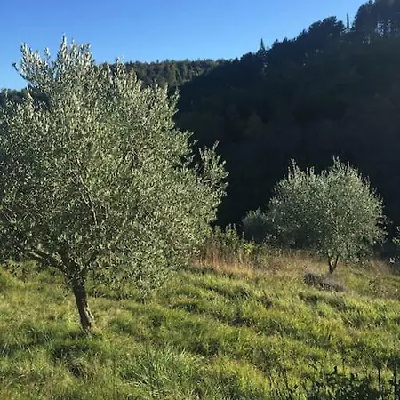 Casale In Val D Orcia Sarteano